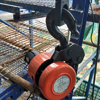 環(huán)鏈提升機的常見種類有哪些